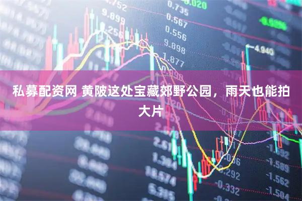 私募配资网 黄陂这处宝藏郊野公园，雨天也能拍大片